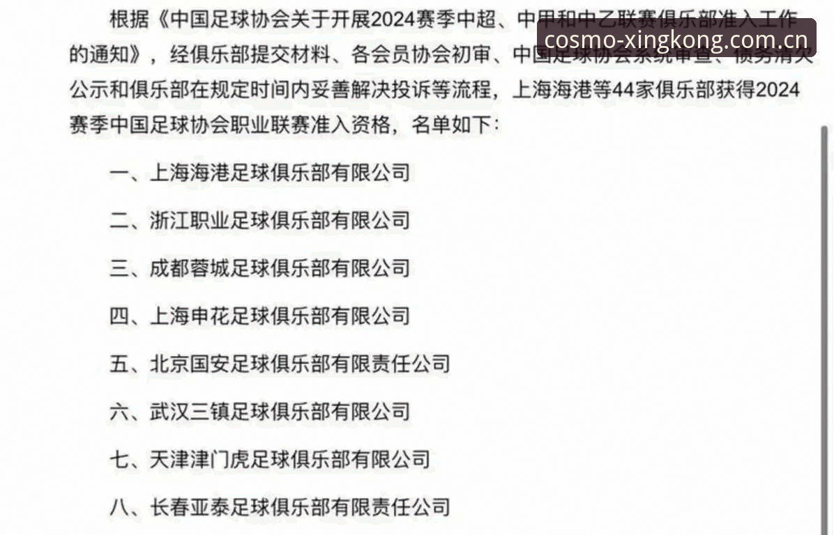 星空娱乐登录 解读足协第三批禁足名单的实用指南:从处罚看行业底线